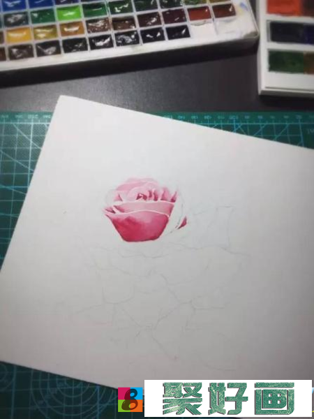 水彩画粉玫瑰