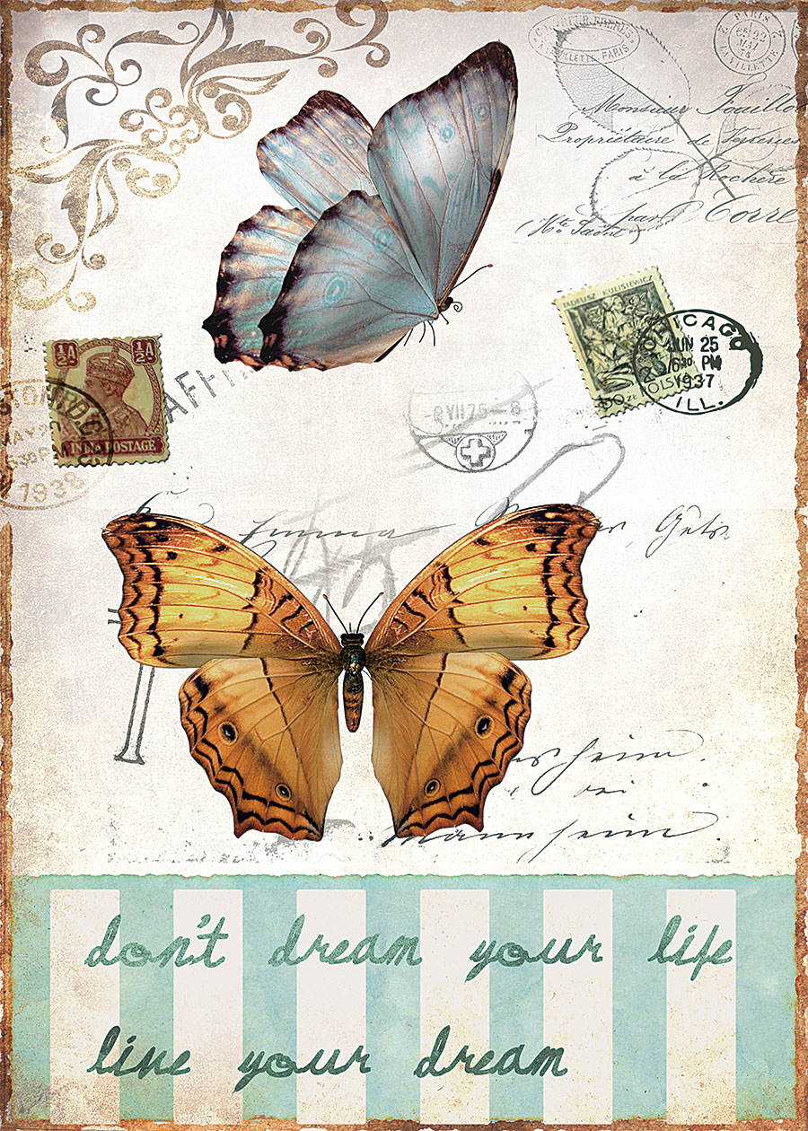 邮票与标本: 蝴蝶与蜻蜓装饰画欣赏 B
