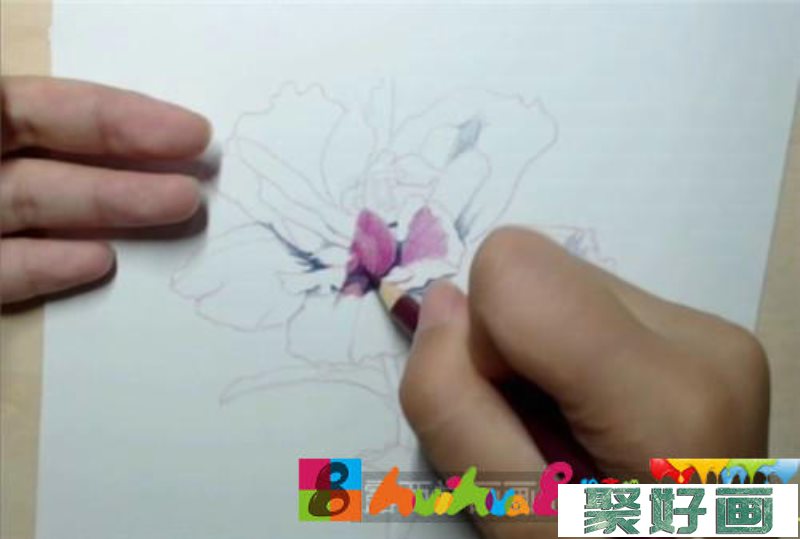 春花彩铅画