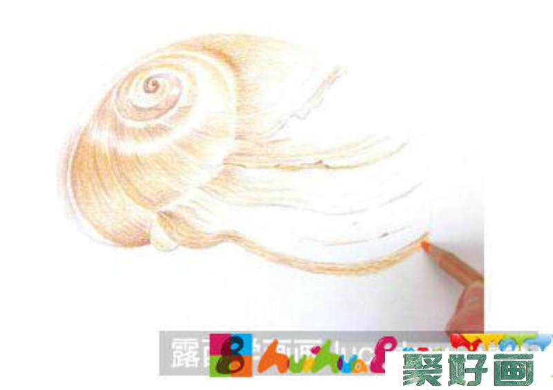 怎么画海螺