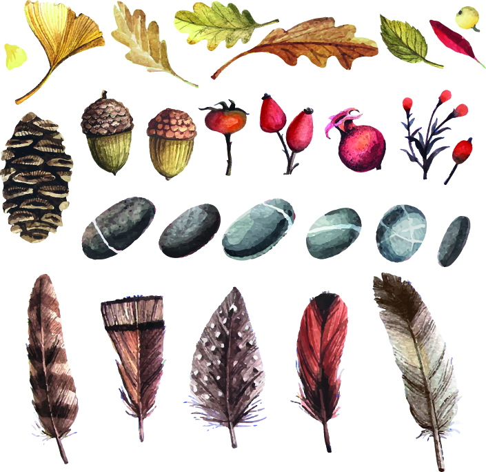 羽毛的故事 羽毛树叶和果实装饰画元素素材下载