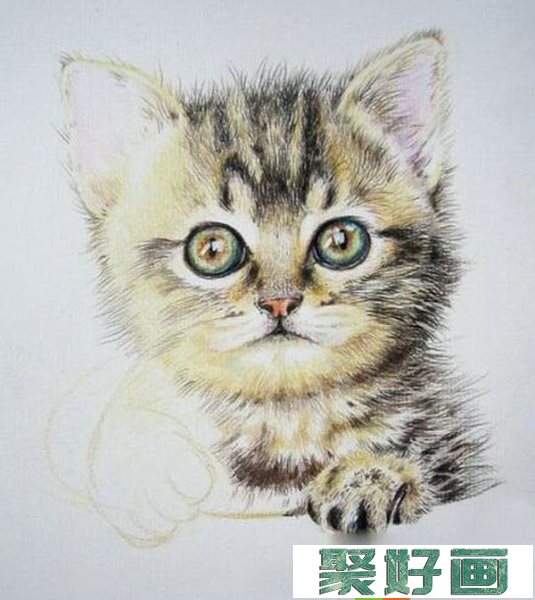 怎么画彩铅猫咪