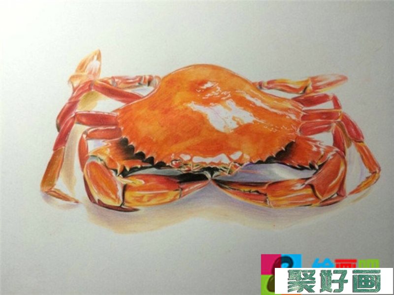 螃蟹怎么画?逼真的螃蟹彩铅画教程