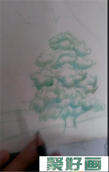 彩铅画大树