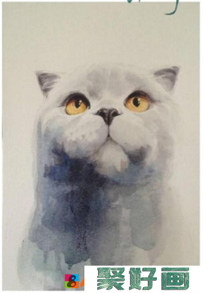 英短猫水彩画