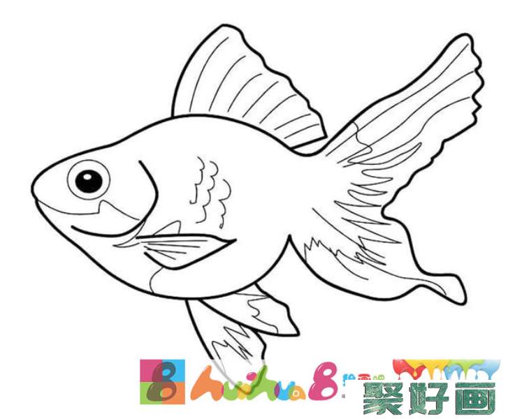海洋鱼类动物简笔画