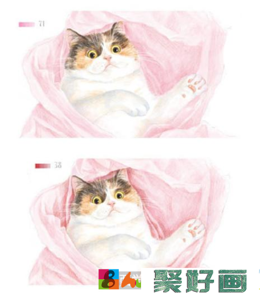 玩包装纸的猫咪彩铅画