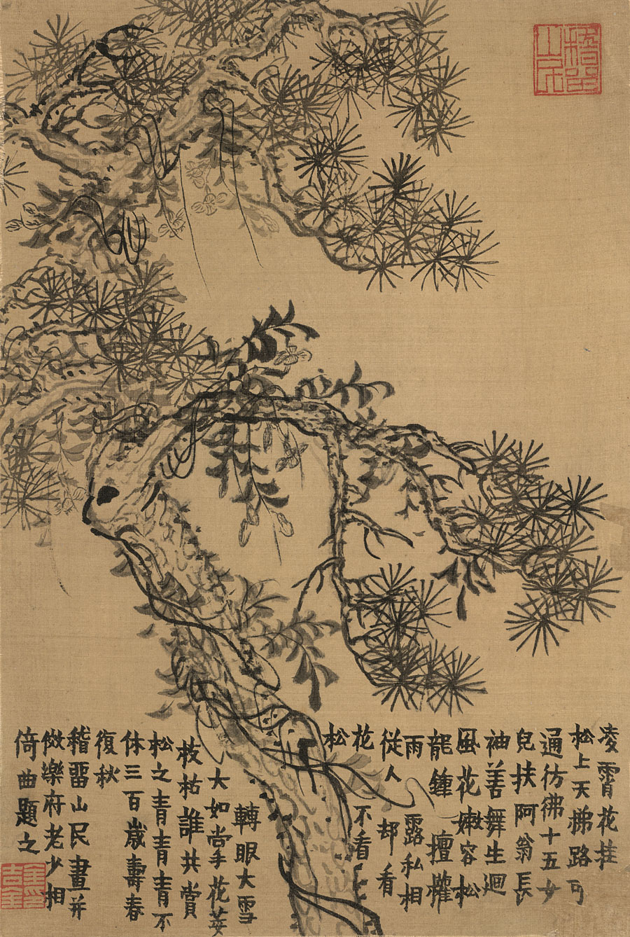 清 金农 杂画十二开 松树国画