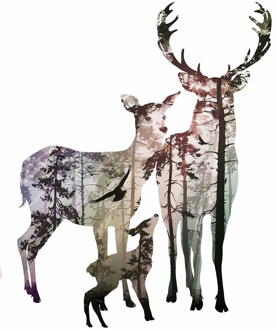 现代高清麋鹿装饰画 创意麋鹿画 麋鹿一家高清大图下载