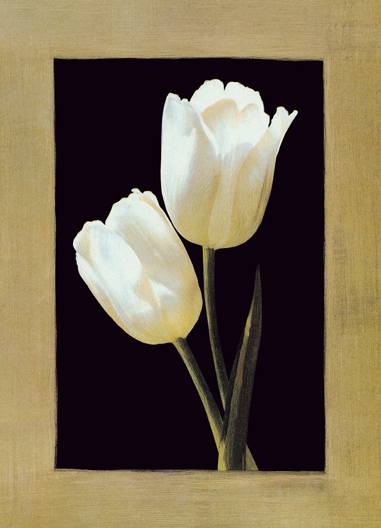 欧式两联花卉装饰画素材: 郁金香 B