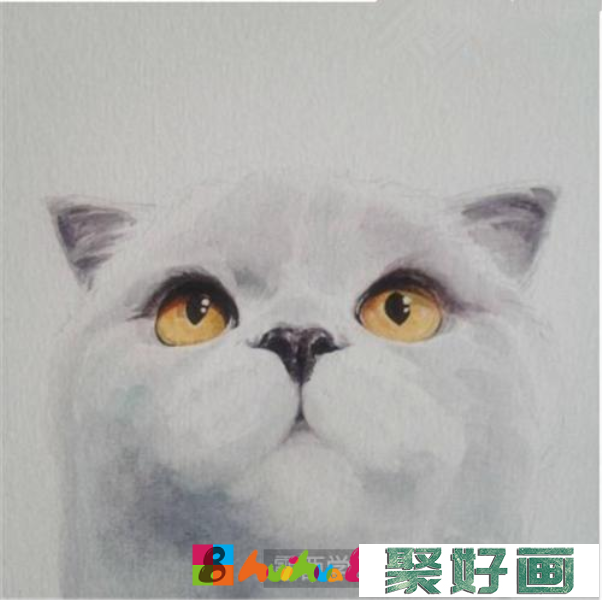 英短猫水彩画