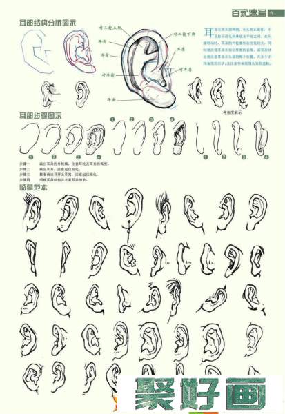 速写教程素材资料(6)