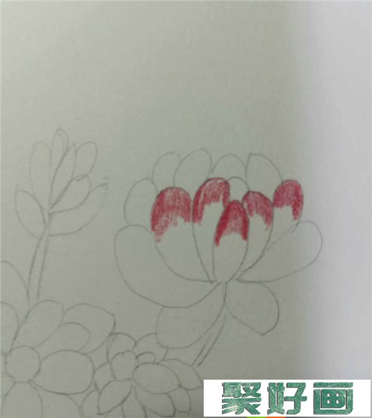 零基础学彩铅画