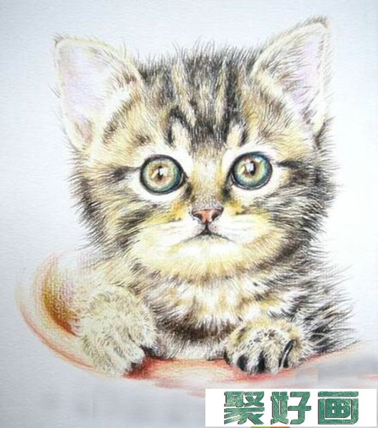 彩铅猫咪怎么画