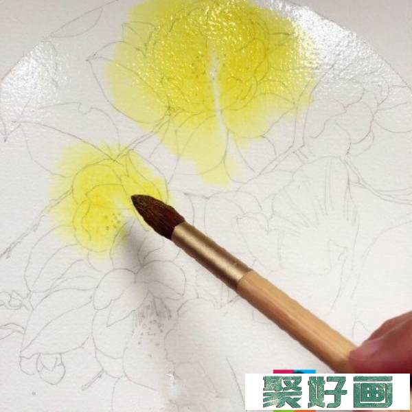 水彩画教程“花与鱼”