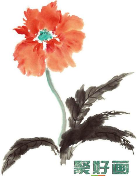 国画画花卉教程：手绘虞美人