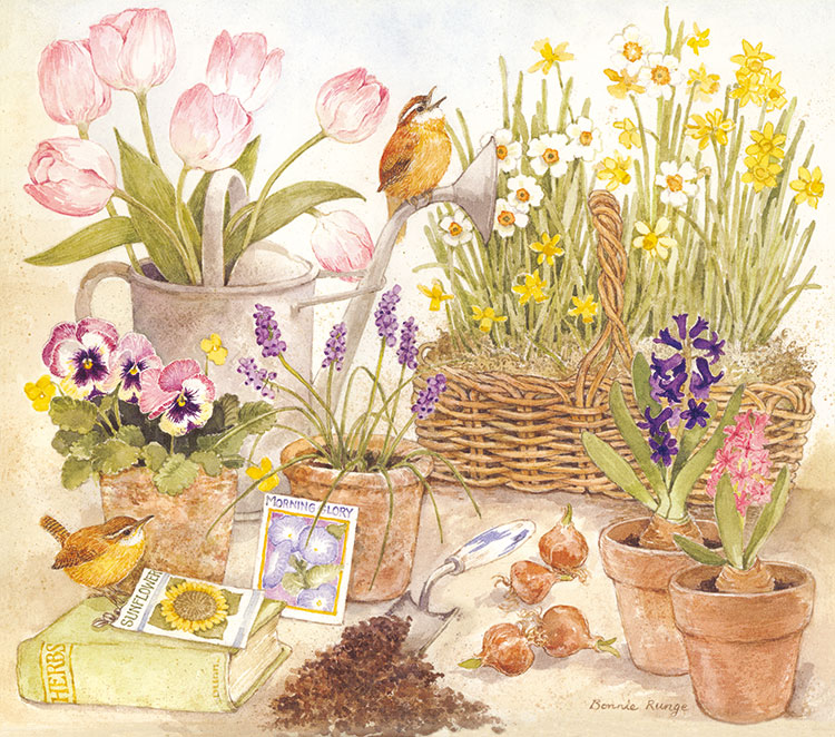 欧式田园花鸟画, 花鸟水彩画素材:小鸟和盆花