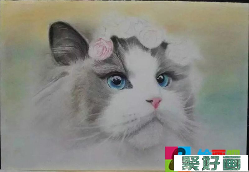彩铅画萌猫步骤：教你画一只仙女猫