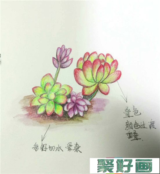 零基础学彩铅画