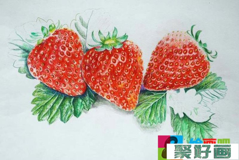 超写实草莓彩铅画教程图解