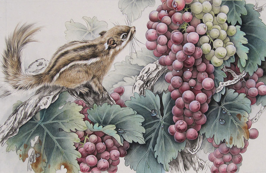 松鼠和葡萄工笔画欣赏