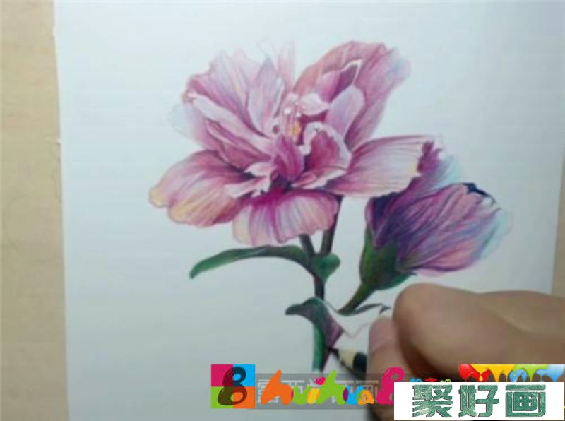 春花彩铅画