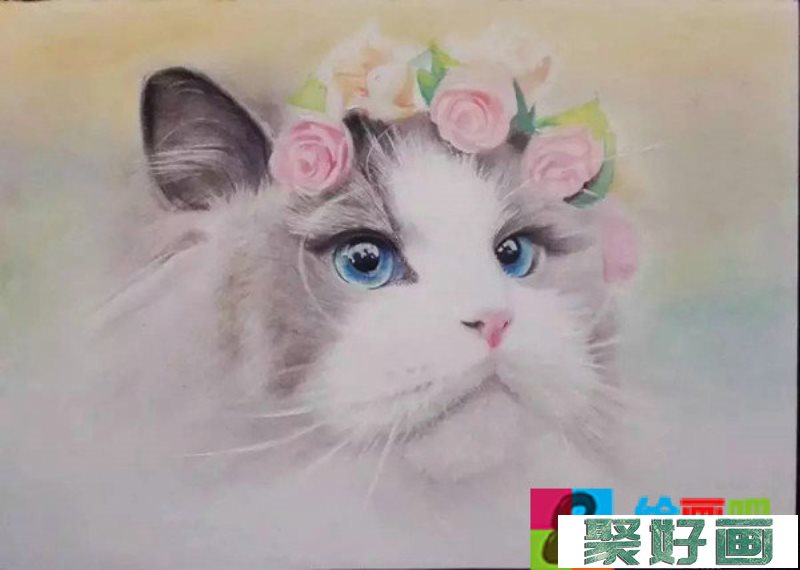 彩铅画萌猫步骤：教你画一只仙女猫