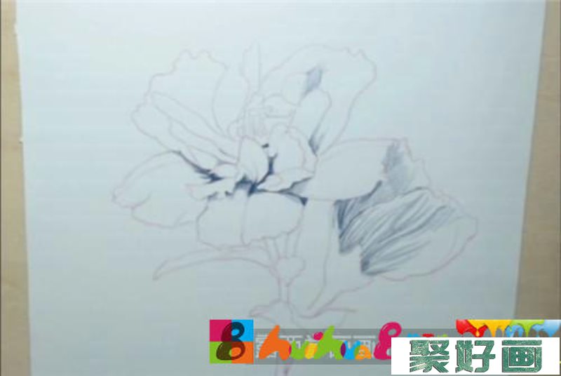 春花彩铅画