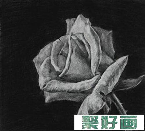 玫瑰花怎么画？<a href=../zhonglei/sumiaohua/ target=_blank class=infotextkey>素描</a>玫瑰花的方法