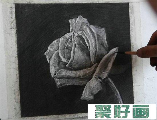 玫瑰花怎么画？素描玫瑰花的方法