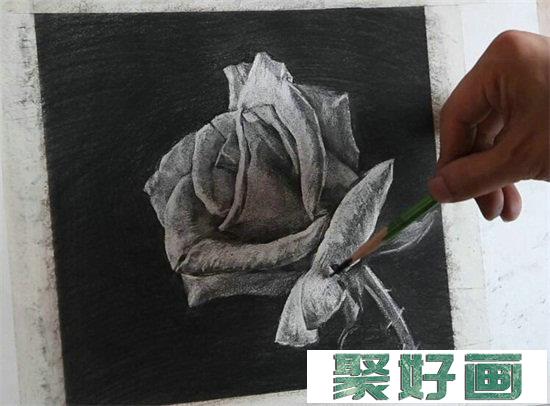 玫瑰花怎么画？素描玫瑰花的方法