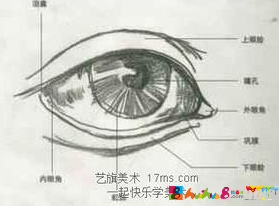 人物<a href=../zhonglei/sumiaohua/ target=_blank class=infotextkey>素描</a>：新手素描眼睛的起形方法