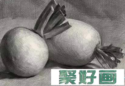 静物素描：蔬菜白萝卜素描