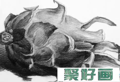 静物素描：火龙果素描画图片