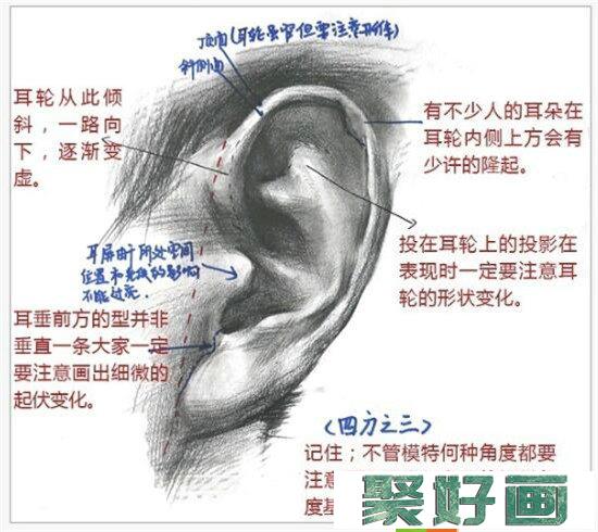 素描入门：素描耳朵画法的精讲教程