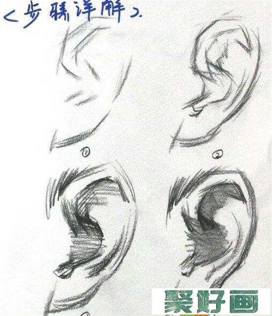 素描入门：素描耳朵画法的精讲教程