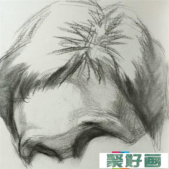 素描入门：头像素描额头的比例关系精讲教程