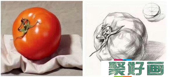 单体素描：蔬菜水果单体素描组合教程