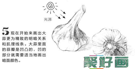 素描蒜头怎么画