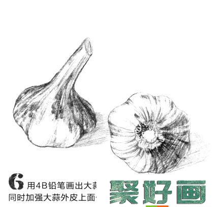 素描蒜头怎么画