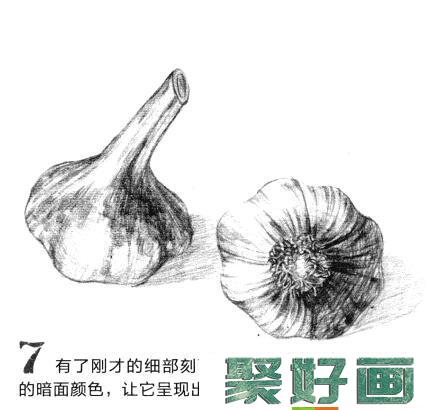 素描蒜头怎么画