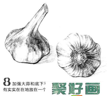 素描蒜头怎么画