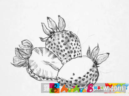 素描画草莓