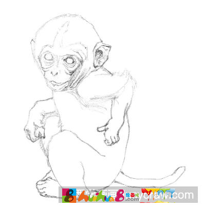 素描画猴子