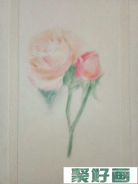 一枝精美的玫瑰花彩铅画画法教程图片 玫瑰花彩铅上色过程步骤图片_www.youyix.com