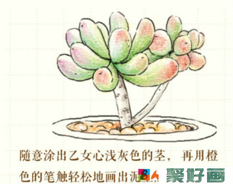 多肉植物彩铅画画法 多肉植物小盆栽怎么画 简单教程_www.youyix.com