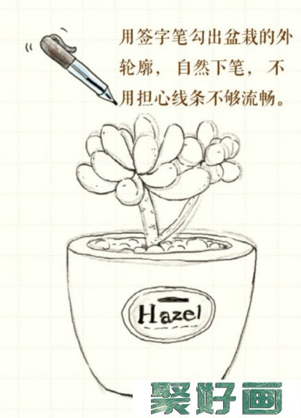 多肉植物彩铅画画法 多肉植物小盆栽怎么画 简单教程_www.youyix.com