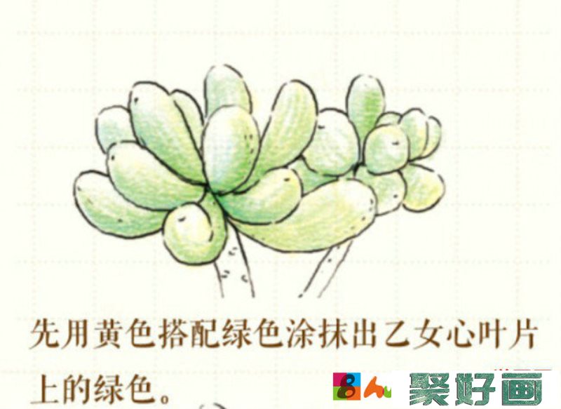多肉植物彩铅画画法 多肉植物小盆栽怎么画 简单教程_www.youyix.com
