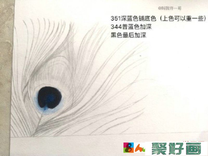 美丽的孔雀羽毛彩铅画手绘教程图片 孔雀羽毛的画法 孔雀羽怎么画_www.youyix.com