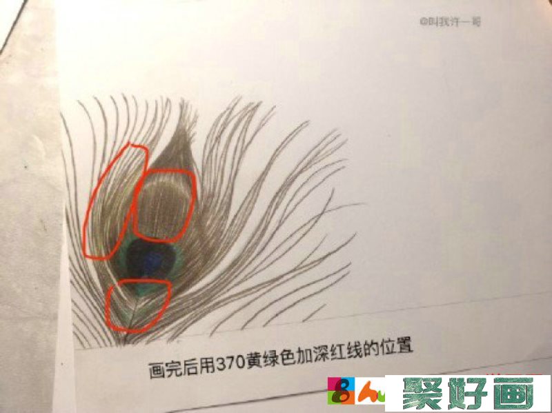 美丽的孔雀羽毛彩铅画手绘教程图片 孔雀羽毛的画法 孔雀羽怎么画_www.youyix.com